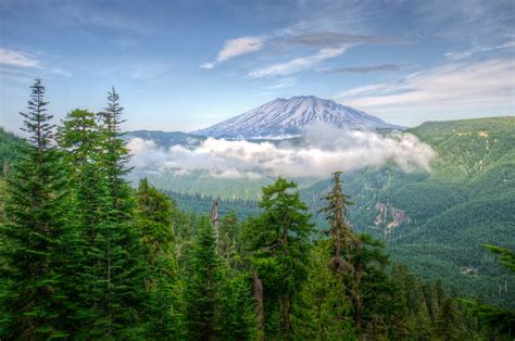 Usa Washington Mountains Wallpaper Hd Nature 4k Wallpapers Images