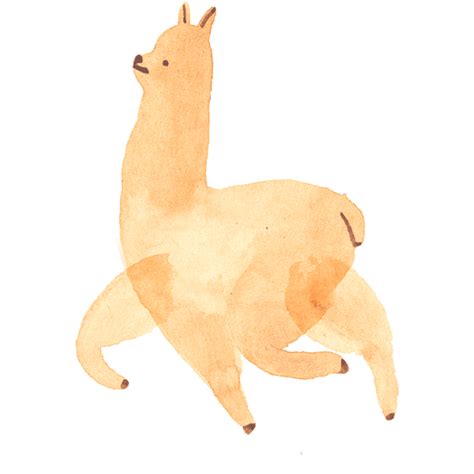 Llama Alpaca  By Christina Lu Find And Share On Giphy