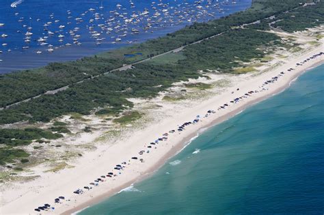 Old Christmas Trees Will Help Restore Jersey Shore Dunes