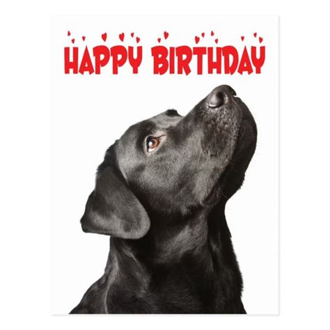 Black Lab Birthday Cards Zazzle Happy Birthday Dog Special Happy