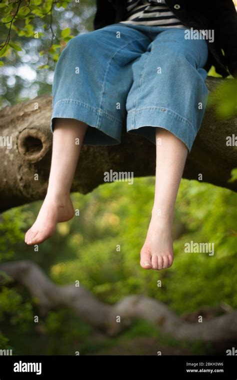 A Girl Climbing A Tree In A Forest Swings Her Bare Feet From A Branch