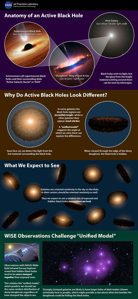 Anatomy Of An Active Black Hole Infograph Black Hole Theory Space