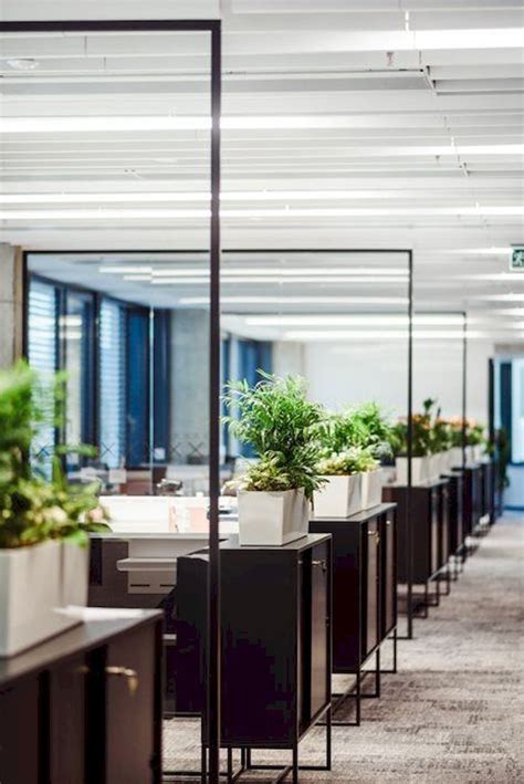 Beautiful Office Plants Without The Worry Office Plants Beautiful