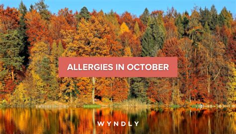 Allergies In October Symptoms Diagnosis And Treatment 2023 And Wyndly
