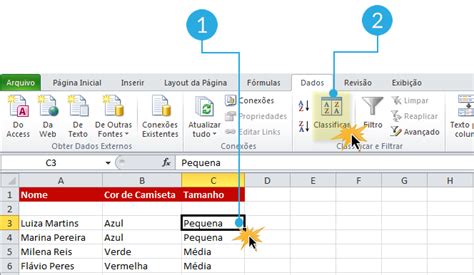 Microsoft Excel 2010 Classificar os datos usando critérios personalizados