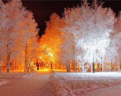 Winter Lights Wallpapers Top Free Winter Lights Backgrounds