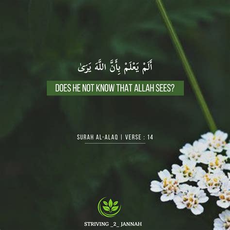 Agar umat islam khususnya, dan umat manusia pada umumnya memiliki. Surah Al-Alaq | verse:14 | Quran quotes, Islamic quotes ...