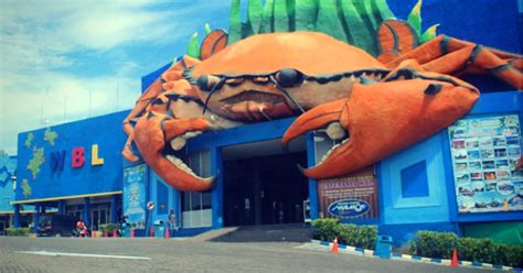 Here you can find from souvenirs shop, food court, fish fruit. No Hp Wisata Bahari Lamongan : WISATA NUSANTARA: Wisata ...