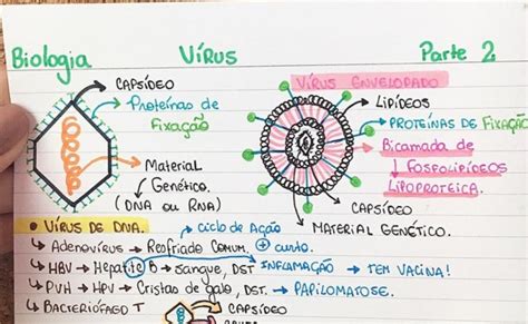 Mapas De Estudo Os Virus Mapas Mentais Biologia Studyblr Otosection
