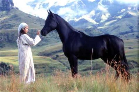Many interpretations can be given to the black stallion. The Black Stallion