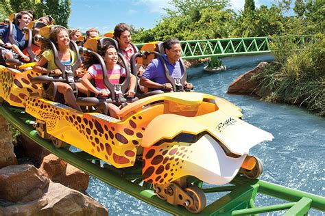 One of the nation's largest accredited zoos tag us #buschgardens bit.ly/3qjsqsd. Compre ingressos para Busch Gardens Tampa Bay - Parques ...