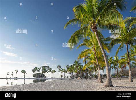 Sand Beach Reflecting Pool Atoll Matheson Hammock County Park Miami