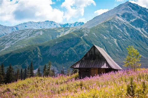 Hala Gasienicowa Tatra Mountains Zakopane Poland Stock Photo Image