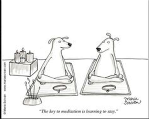 Want to learn how to meditate, but don't know the best way to get started? 1000+ images about Meditation Humor on Pinterest | Meditation, New yorker cartoons and Mindfulness
