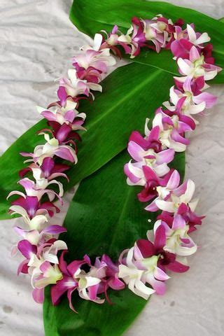 We did not find results for: Pin by Leanne Vincent on Hawaiian Plants and Flowers ...