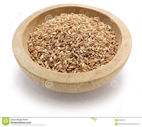 Spelt Farro Primitive Wheat Stock Image Image Of Close Organic