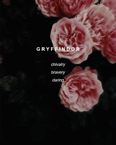 Tumblr is a place to express yourself, discover yourself, and bond over the stuff you love. gryffindor | Tumblr | Tapety
