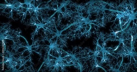 Neuron Network Synapses Animation Neurons Inside The Human Brain