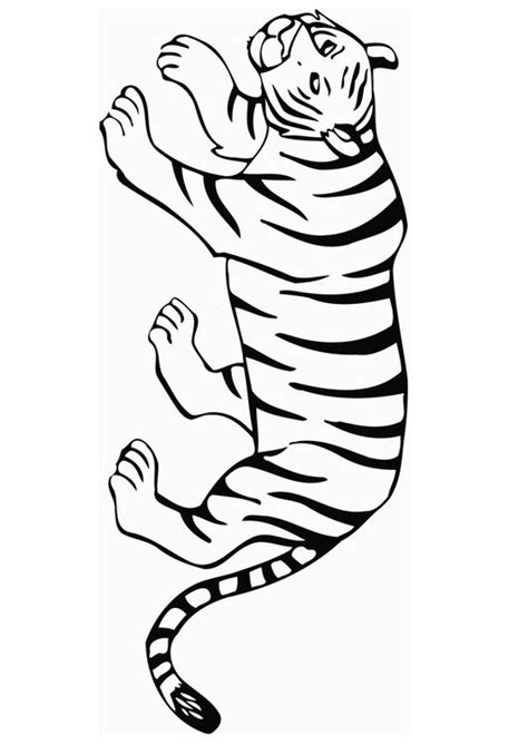 Coloriage le tigre Coloriages Gratuits à Imprimer Dessin 12849