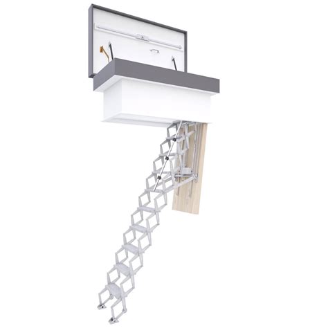 Retractable Roof Access Ladder