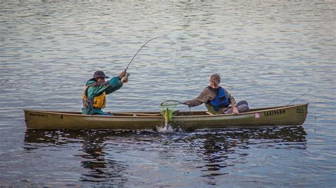 Canoeing And Kayaking Explore Minnesota