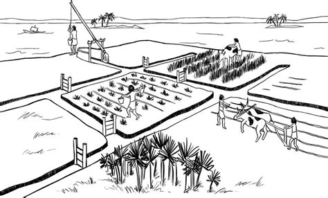 irrigation canals with closures in ancient egypt drawn after tc2 download scientific diagram
