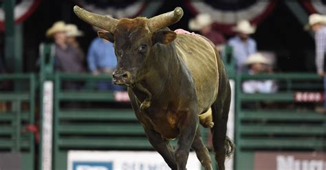 Bull rider suffers broken neck at Reno Rodeo