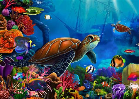 Turtle Domain By Mgl Meiklejohn Graphics Licensing Turtle Painting