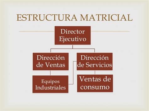 Organización Matricial Características Y Ejemplos