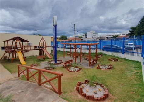 apae anápolis inaugura parque de diversões ecológico e apresenta balanço de gestão contexto