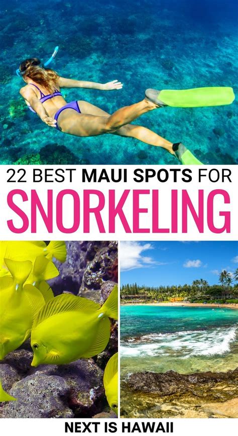 22 Best Places In Maui For Snorkeling Tips Maui Hawaii Vacation