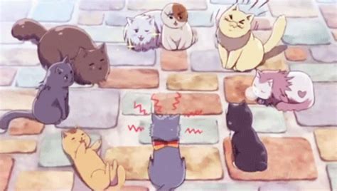 Pictures 15 Cute Anime Cats Best Cats Character Anime List 2020