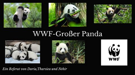 Wwf Großer Panda By Tharsiea Thamilchelvan