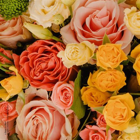 internetul masterat Cu plăcere buchete de trandafiri la multi ani