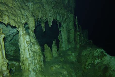 Mayan Magic Cavern Diving In Mexicos Yucatan Peninsula