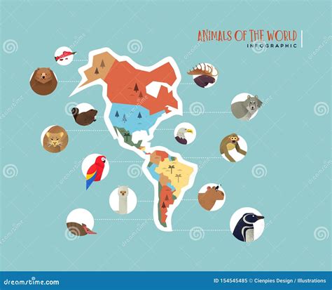 America Continent Wild Animal Infographic Template Stock Vector