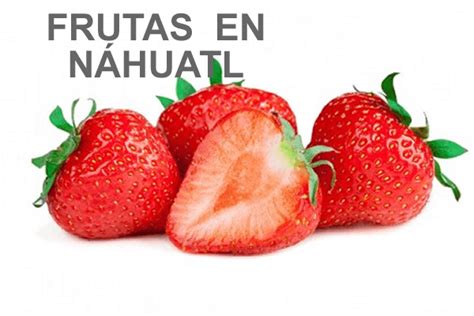 🍎aprende A Decir Las Frutas Mas Comunes En Náhuatl Vocabulario
