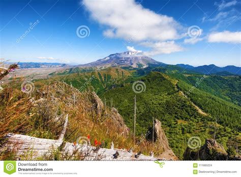 Mt St Helens Ford Pinchot National Forest Stock Photo Image Of
