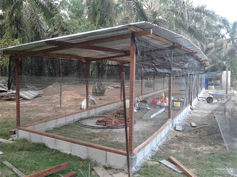 Untuk reban pembesaran ayam kampung pedaging, 1 ekor ayam memerlukan 1 kaki persegi. Gambar Reban Ayam Kampung Moden