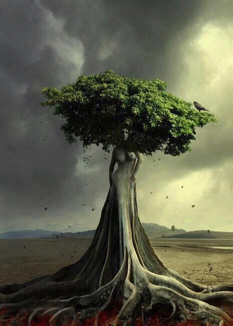 Tree Woman Tree Of Life And Things I Like Pinterest