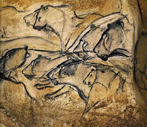 This Pride Of Sixteen Lions At Chauvet Cave In Southern France Was