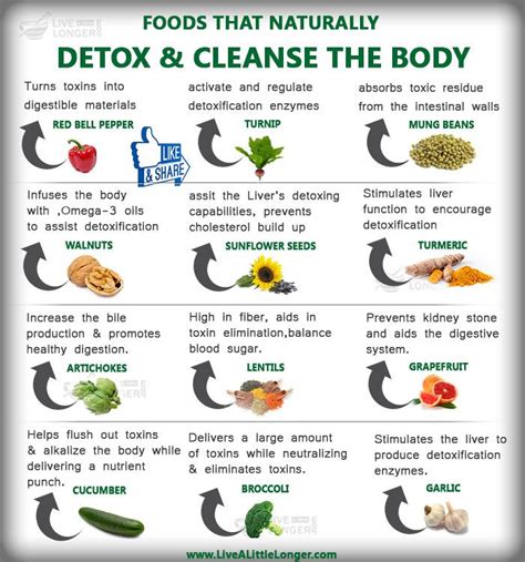 Foods For Detox Health Lezen