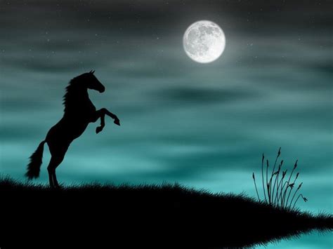 Cool Horse Wallpapers Top Free Cool Horse Backgrounds Wallpaperaccess