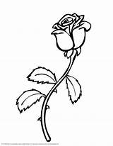 Rose Single Printable Clipart Roses Coloring Flower Print Pages sketch template