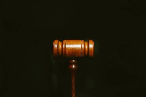 Posisi hewan herbivora ini berada di tingkat konsumen pertama di dalam rantai makanan. Apa Itu Justifikasi? Arti dan Contoh Justifikasi Adalah
