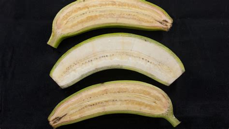 Iowa Trial Of Gmo Bananas Is Delayed