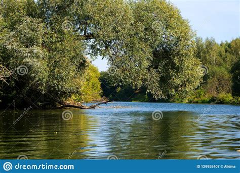 Autumn Evening Landscape With The River And A Beautiful Tree Stock