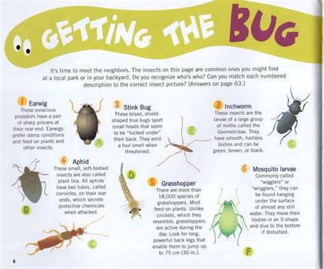 Insecto Files Amazing Insect Science And Bug Facts Youll Never Believe
