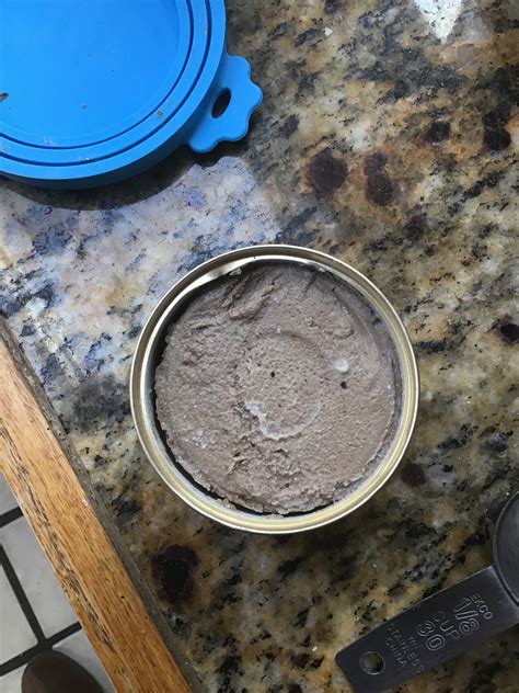 Maybe you would like to learn more about one of these? Can Wet Cat Food Be Spoiled (brand New Tin)? | TheCatSite