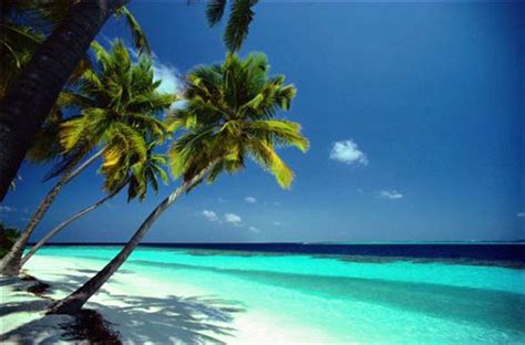 World Visits Top 8 Tropical Beach Collction Relaxing